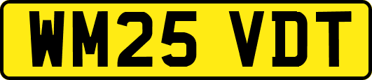 WM25VDT