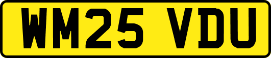 WM25VDU