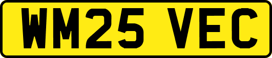 WM25VEC