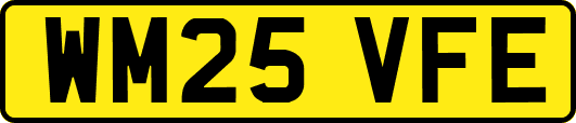 WM25VFE