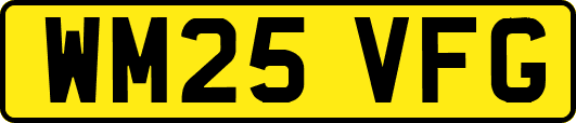 WM25VFG