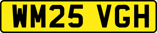 WM25VGH