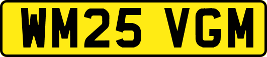 WM25VGM
