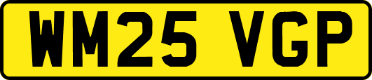 WM25VGP