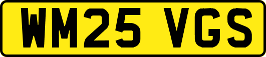 WM25VGS