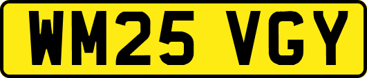 WM25VGY