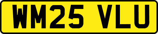 WM25VLU
