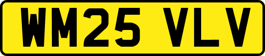 WM25VLV