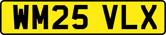 WM25VLX
