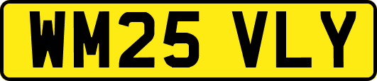 WM25VLY