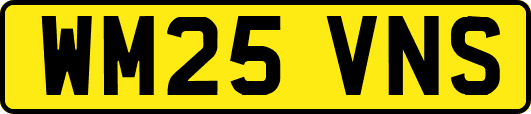 WM25VNS