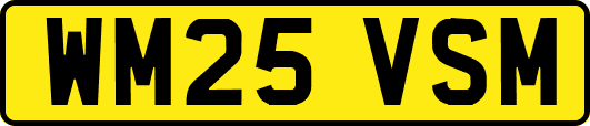 WM25VSM