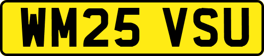 WM25VSU