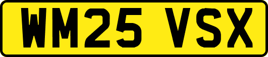 WM25VSX