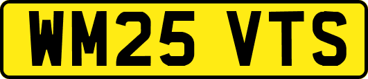 WM25VTS
