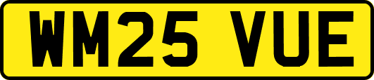 WM25VUE