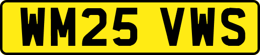 WM25VWS