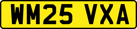 WM25VXA