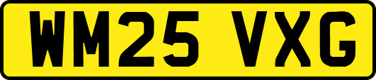 WM25VXG