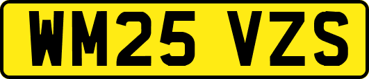WM25VZS