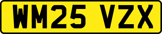 WM25VZX