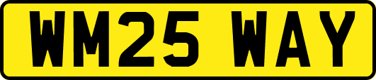 WM25WAY