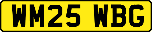 WM25WBG