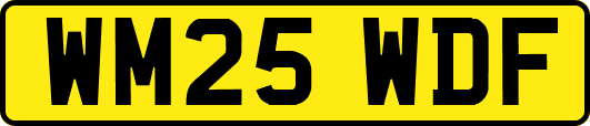 WM25WDF
