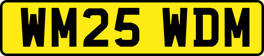 WM25WDM