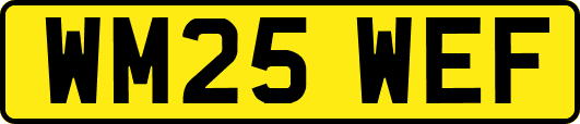 WM25WEF