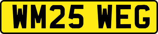 WM25WEG