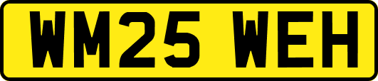 WM25WEH