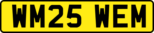 WM25WEM