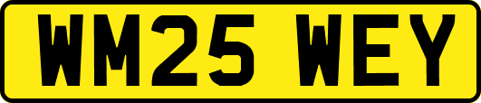 WM25WEY