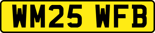 WM25WFB