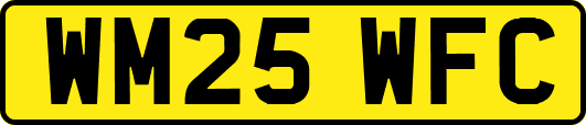 WM25WFC