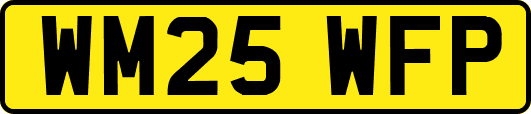 WM25WFP