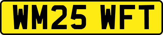 WM25WFT