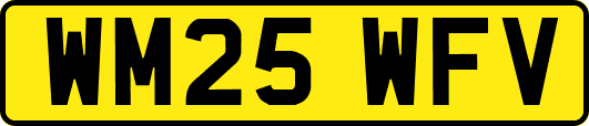 WM25WFV