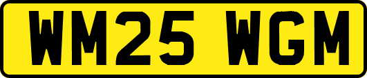 WM25WGM