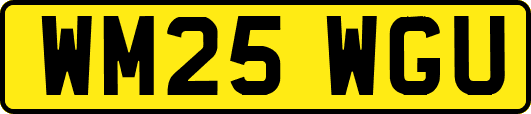 WM25WGU