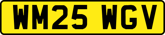 WM25WGV