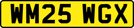 WM25WGX