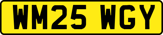 WM25WGY