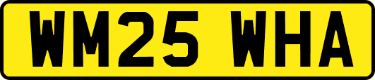 WM25WHA