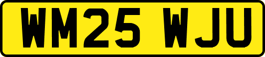 WM25WJU