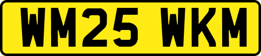 WM25WKM