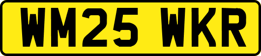 WM25WKR