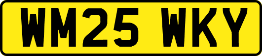 WM25WKY