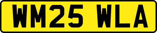 WM25WLA